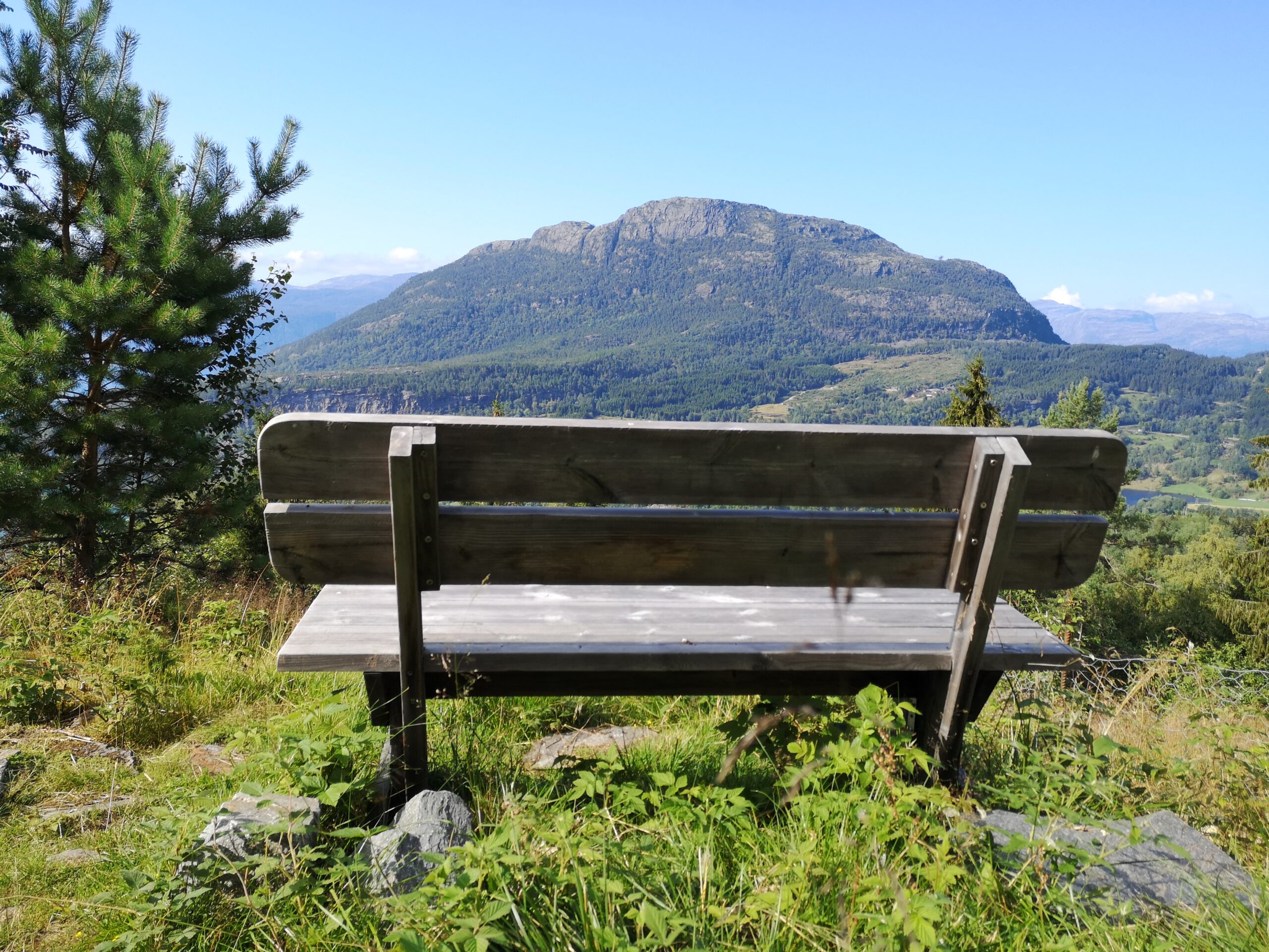 Halbzeitpause